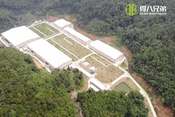 ãதிரவ உணவு முறைãGuangdong Zhaoqing 20000 fattening 10000 weening pig farm.