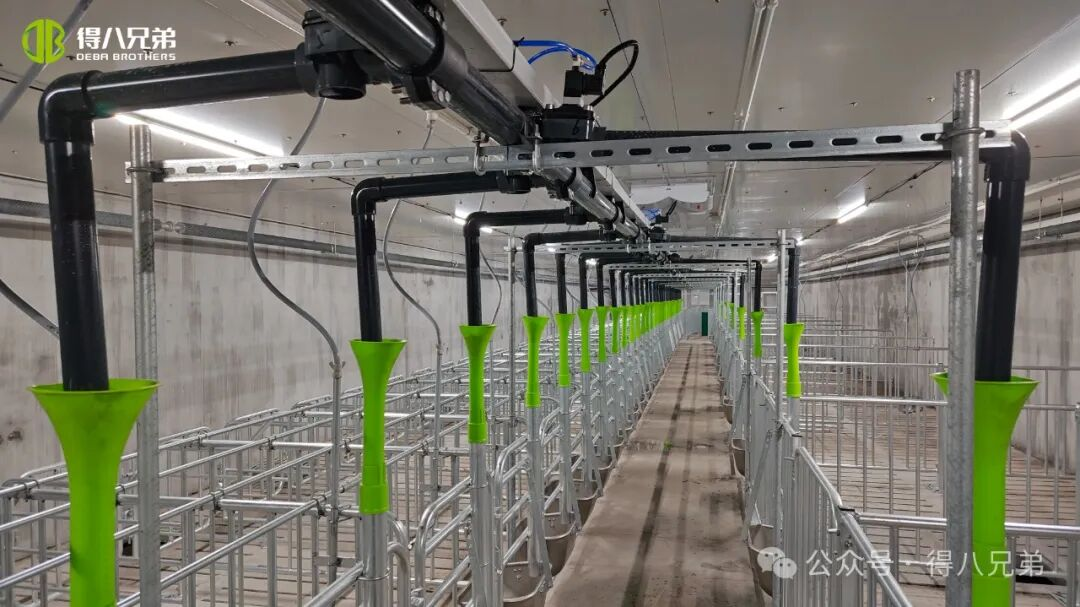 டெபா சகோதரர் லிச்சா கருப்பு பன்றி வளர்ப்பு மற்றும் வளர்ப்பு செயல்விளக்கம் - 2,000 பன்றிகள், 50,000 வருடாந்திர படுகொலை, 67,000 சதுர மீட்டர்களின் ஒருங்கிணைந்த செயல்பாடுகள்